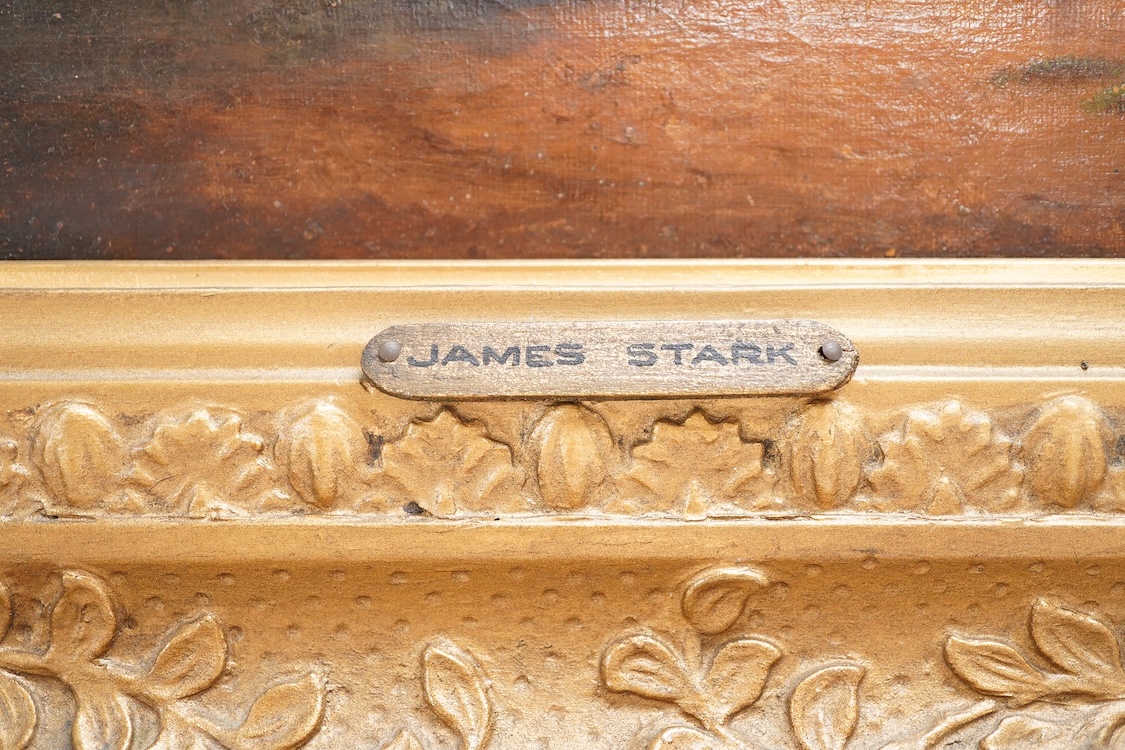 Manner of James Stark (1794-1859), pastoral landscape, unsigned, 20 x 29cm, applied plaque to the ornate gilt frame, oil on canvas